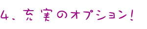 充実のオプション